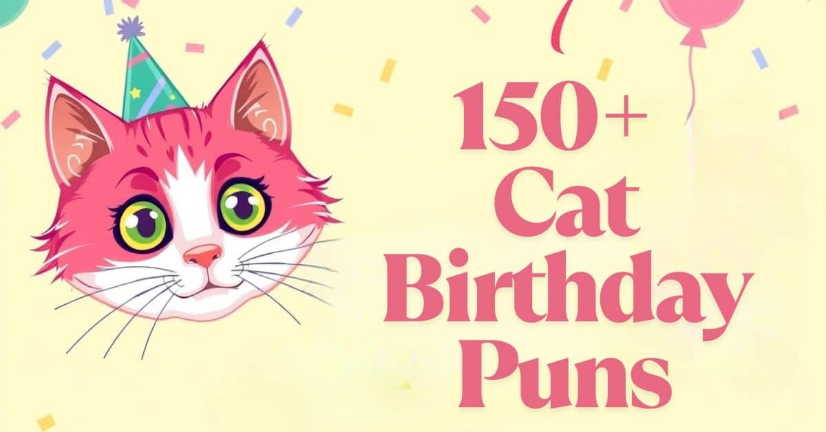 You are currently viewing 150+ Cat Birthday Puns That’ll Meow Your Mind