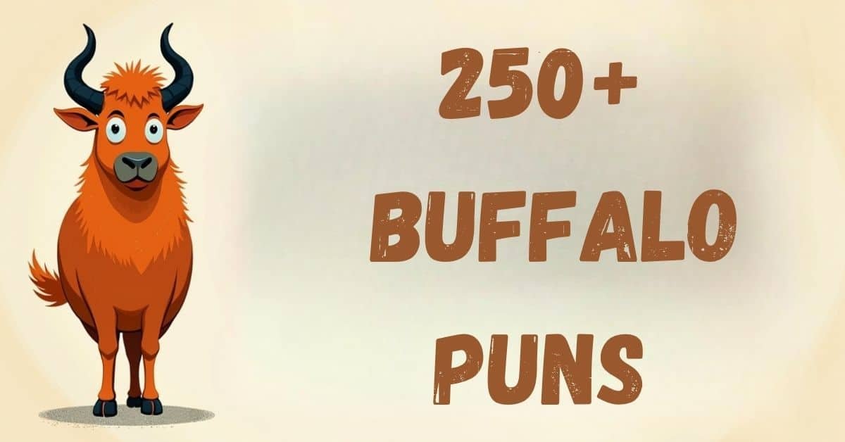 You are currently viewing 250+ Buffalo Puns You Can’t Herd Enough