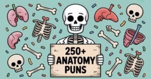 Read more about the article 250+ Anatomy Puns That’ll Tickle Your Funny Bone