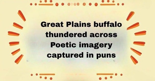 250+ Buffalo Puns